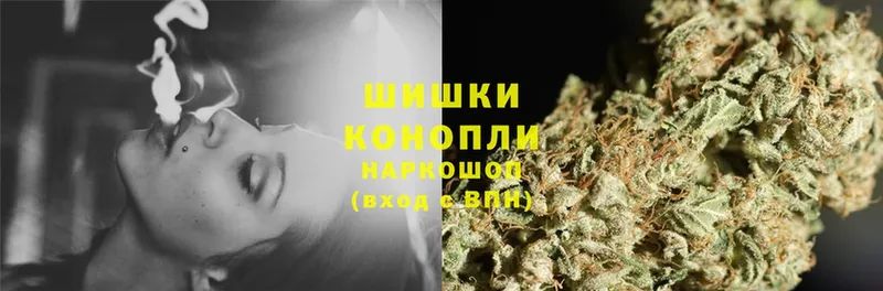 Бошки Шишки White Widow  KRAKEN зеркало  Нюрба 